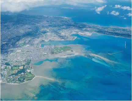 ����p�`�A���n��̐���