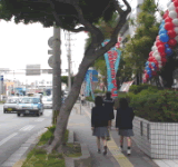 �傫���Ȃ肷�����K�W���}���̉e��02