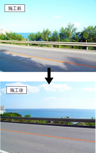 �摜�F�{�H�󋵁i�����R�R�P���z�e���T�����C�Y�m�O�t�߁j