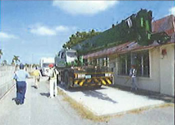 �摜�i�����1���ځj