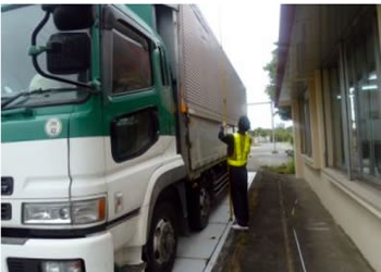 �摜�i�����1���ځj