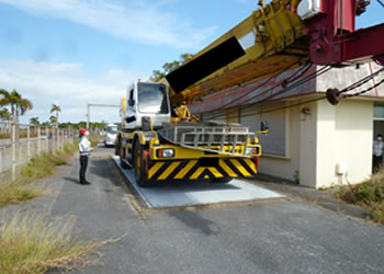 �摜�i�����1���ځj