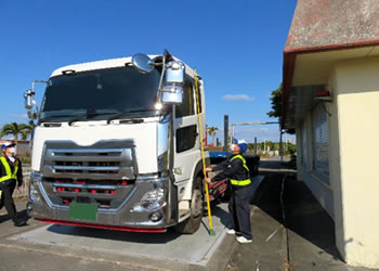 �摜�i�����1���ځj