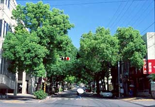 ����ԗ������v���V�X�e��01