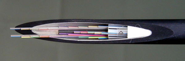 ���t�@�C�o�[�f�ʐ}