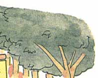 �����̂��܂�ʐ^