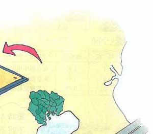 �����̒���