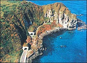 �g���l���̐�����������