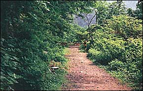 ����291����ʎ~��