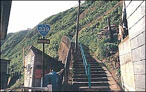 ����339���K�i����