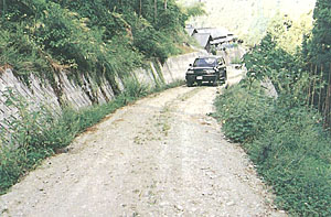 �ܑ�����Ă��Ȃ�����