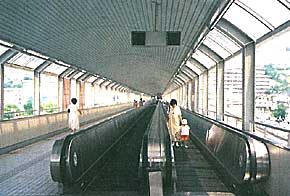 �L���s�����t���̓�������