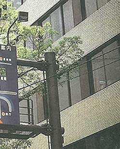 ����������ʐ^2