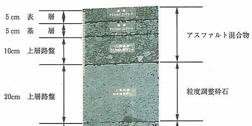 �A�X�t�@���g�ܑ��ʐ^