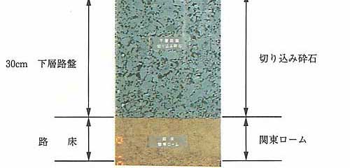 �A�X�t�@���g�ܑ��ʐ^