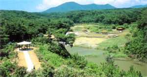 自然ふれあい公園