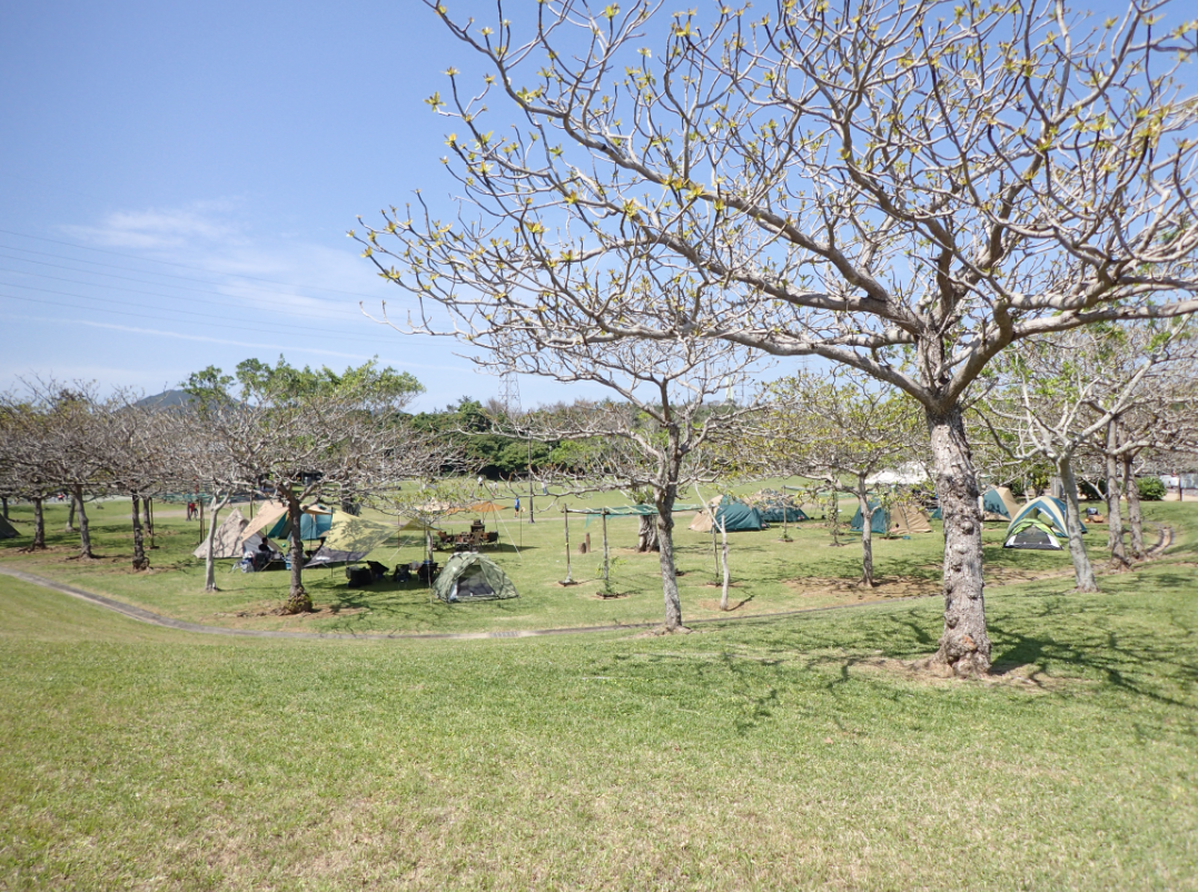 湖畔公園キャンプスペース