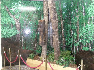 大保ダム資料館内　人口営巣木