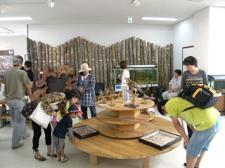 大保ダム資料館内　生物標本　展示